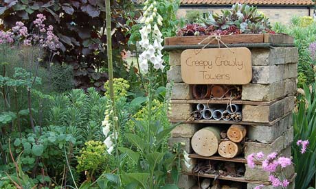 Easy Ideas To Create a Nature Friendly Garden